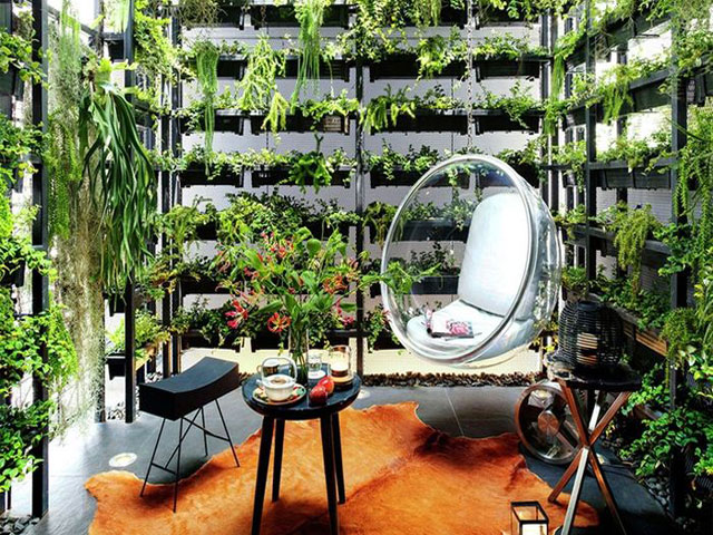 vertical garden