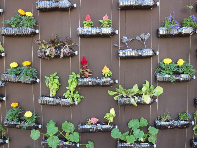 vertical garden
