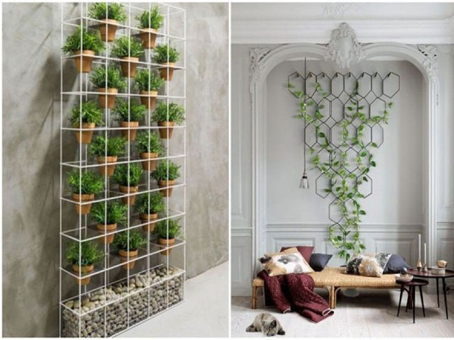 vertical garden