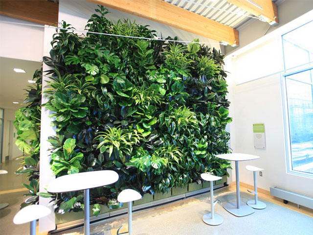 vertical garden