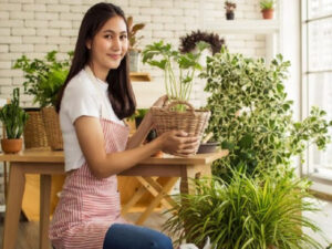 Tanaman Hias Indoor yang Wangi, Pewangi Ruangan Alami