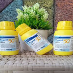 obat semut regent
