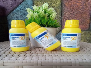 Obat Semut Regent, Basmi Semut Sampai Tuntas!