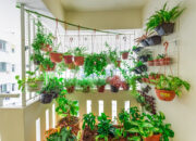 kebun vertikal di balkon