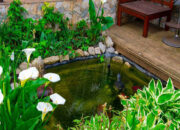 Desain Kolam Ikan Low Budget, Bikin Rumah Anda Makin Estetik