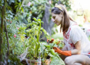 Gaya Hidup Ramah Lingkungan, Menuju Rumah Berkelanjutan