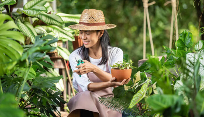 10 Jenis Tanaman Hias yang Cocok untuk Taman Rumah Anda